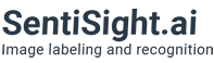 sentisight logo regular d